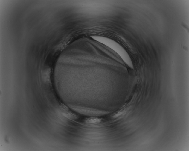 X0000095670217200801221211