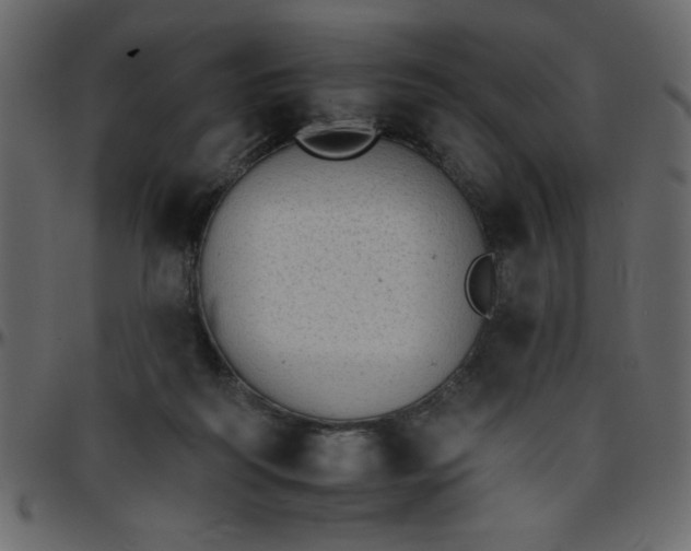 X0000095670218200801221211