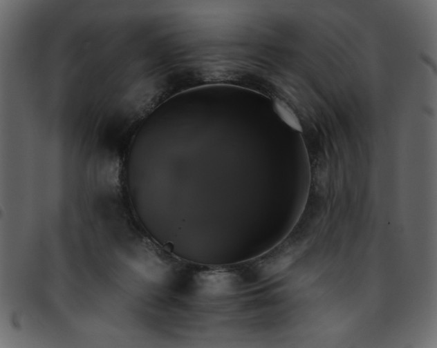 X0000095670219200801221211