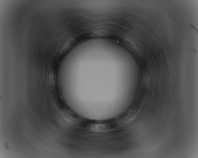 X0000095670220200801221211