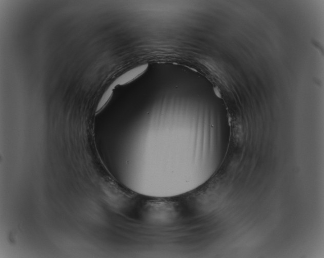 X0000095670221200801221211