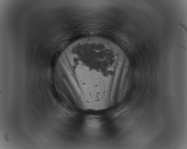 X0000095670222200801221211