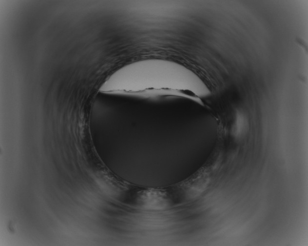 X0000095670223200801221211