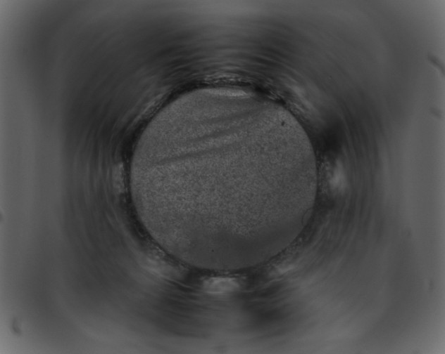 X0000095670224200801221211