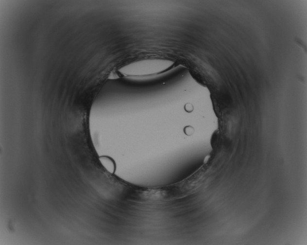 X0000095670225200801221211