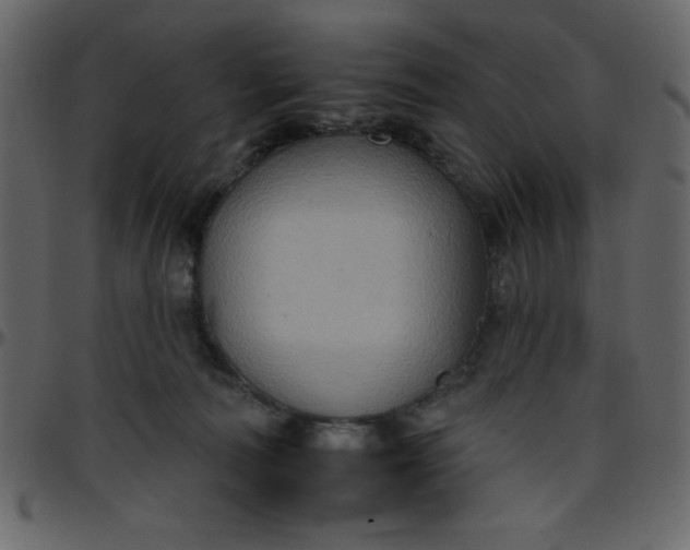 X0000095670226200801221211