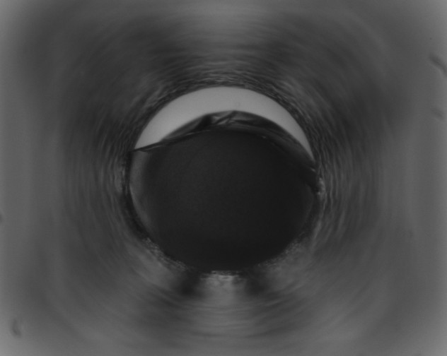 X0000095670227200801221211