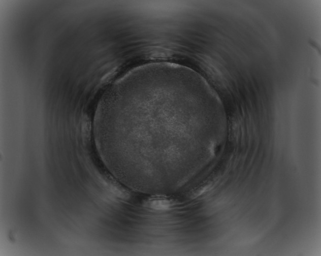 X0000095670228200801221211