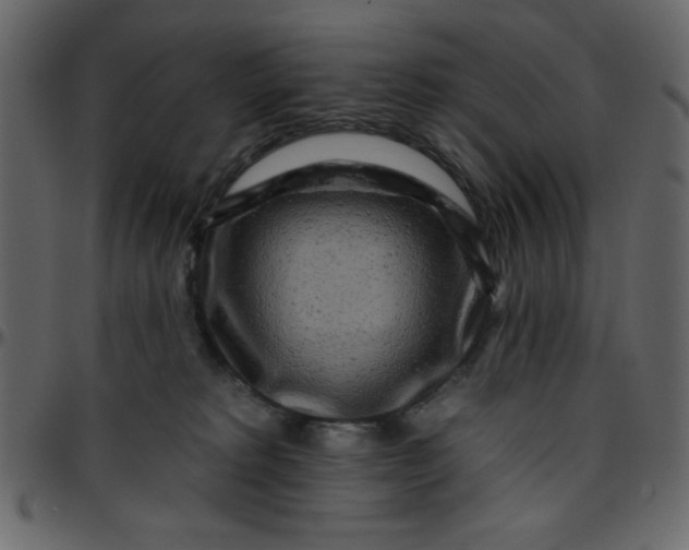 X0000095670229200801221211