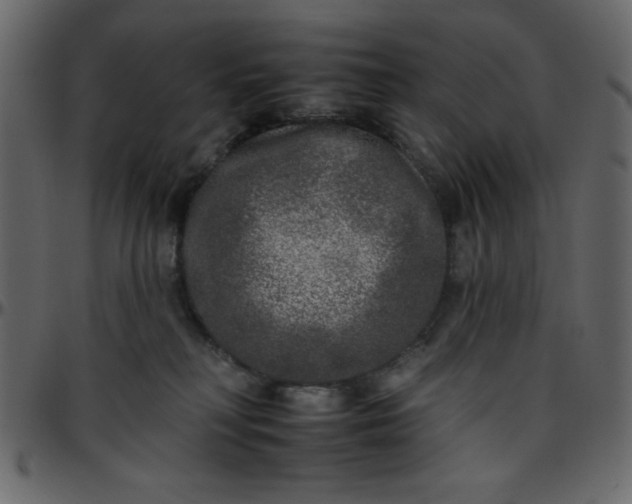 X0000095670230200801221211