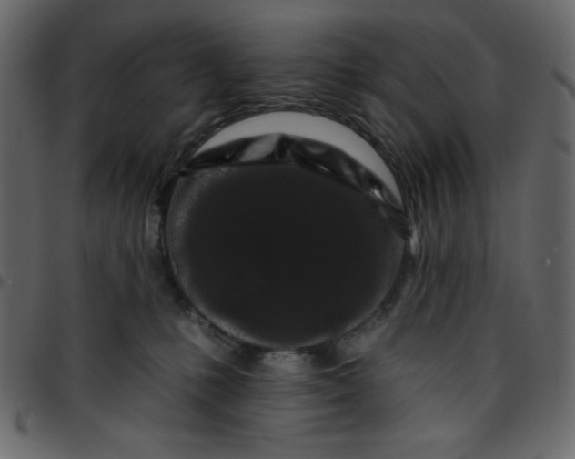 X0000095670231200801221211