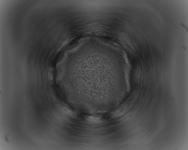 X0000095670232200801221211