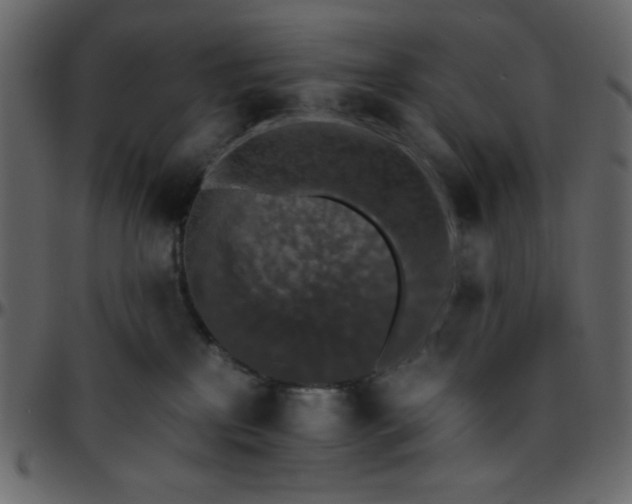 X0000095670233200801221211