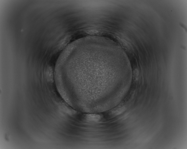 X0000095670234200801221211