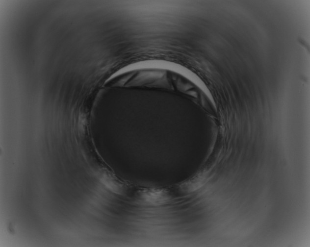 X0000095670235200801221211