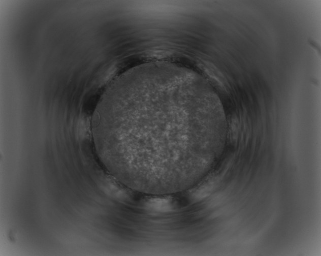 X0000095670236200801221211