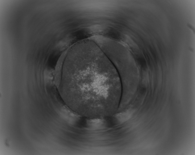 X0000095670237200801221211