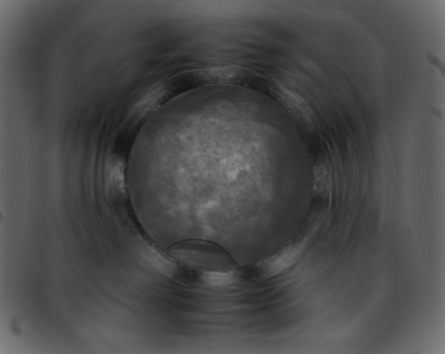 X0000095670238200801221211