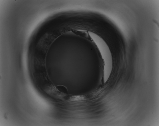 X0000095670239200801221211