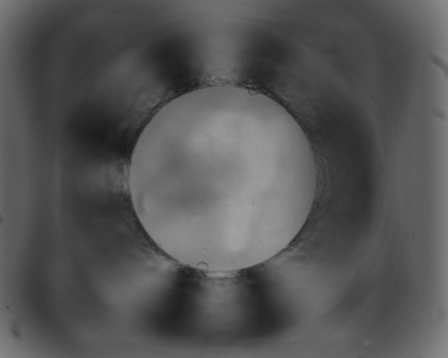 X0000095670240200801221211