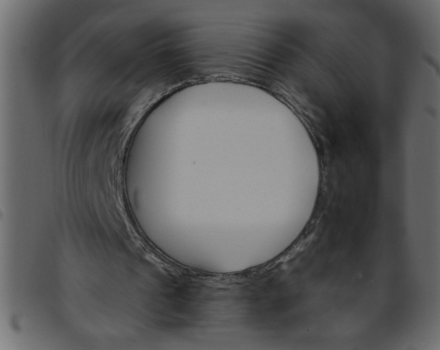 X0000095670241200801221210