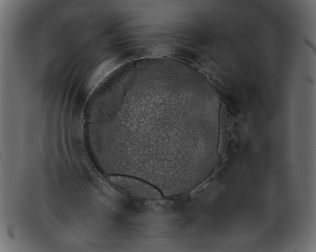 X0000095670242200801221210