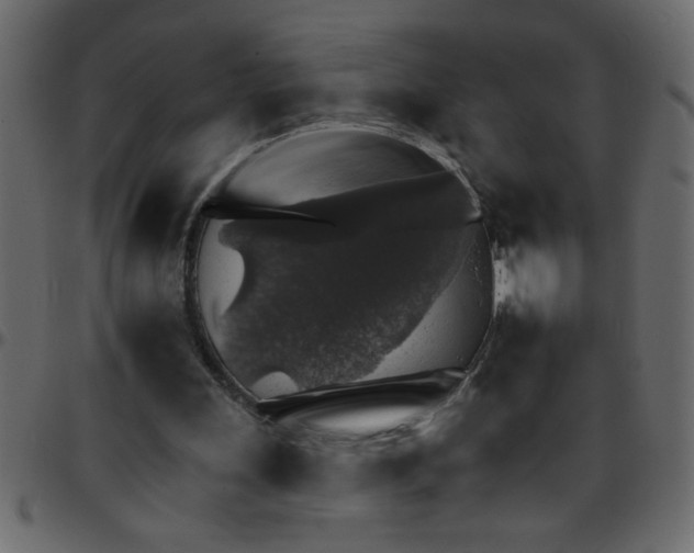 X0000095670243200801221210