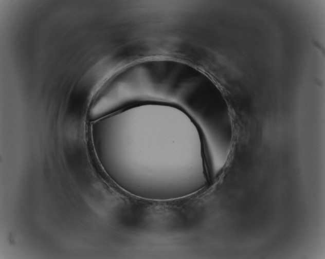 X0000095670244200801221210