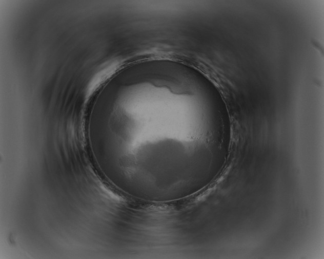 X0000095670245200801221210