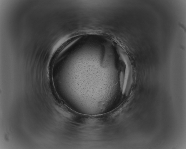 X0000095670246200801221210