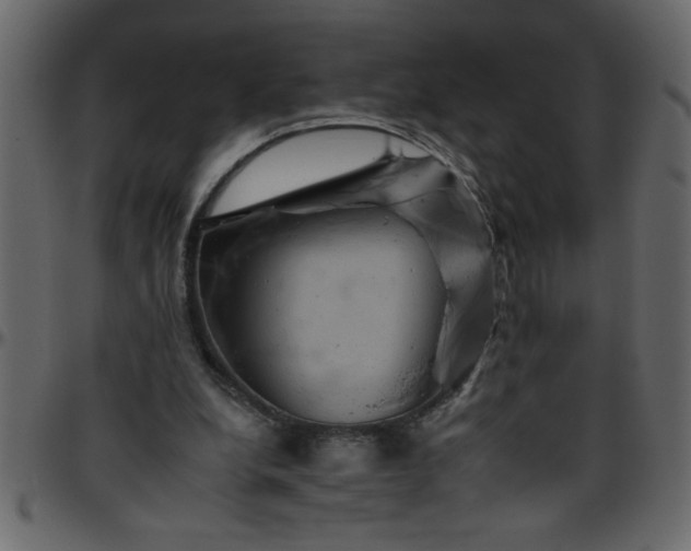 X0000095670248200801221210