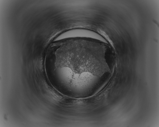 X0000095670249200801221210