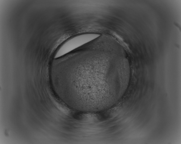 X0000095670250200801221210