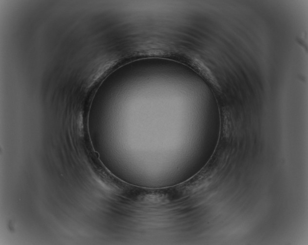 X0000095670251200801221210