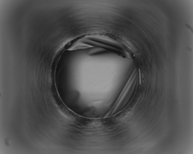 X0000095670252200801221210