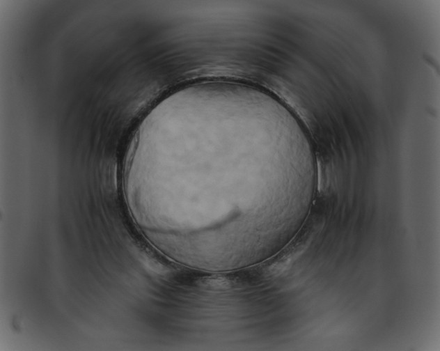 X0000095670253200801221210