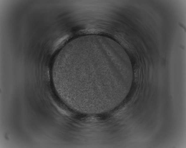 X0000095670254200801221210