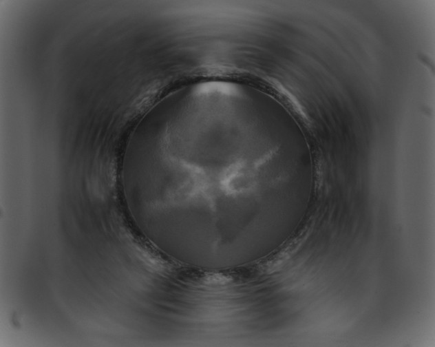 X0000095670257200801221210