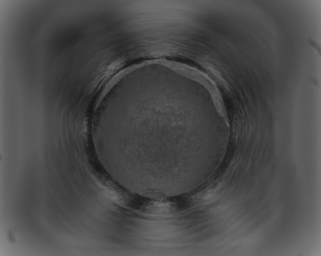 X0000095670260200801221210