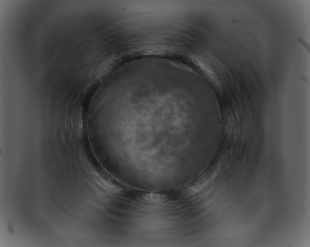 X0000095670261200801221210