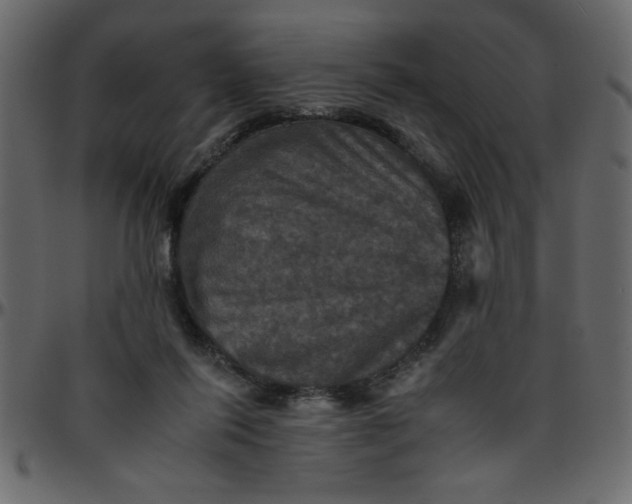 X0000095670262200801221210