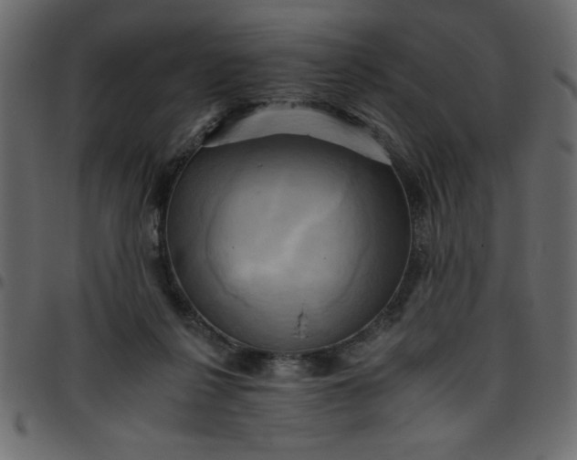 X0000095670264200801221210