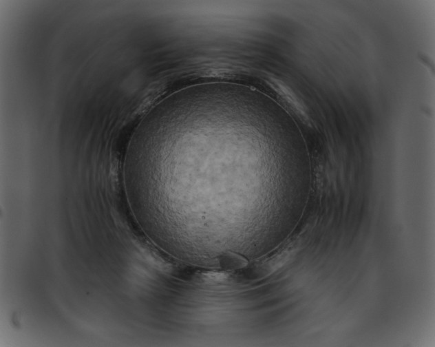 X0000095670265200801221210