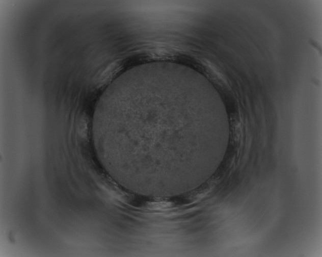 X0000095670266200801221210