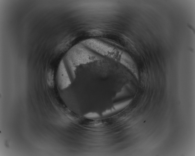 X0000095670267200801221210