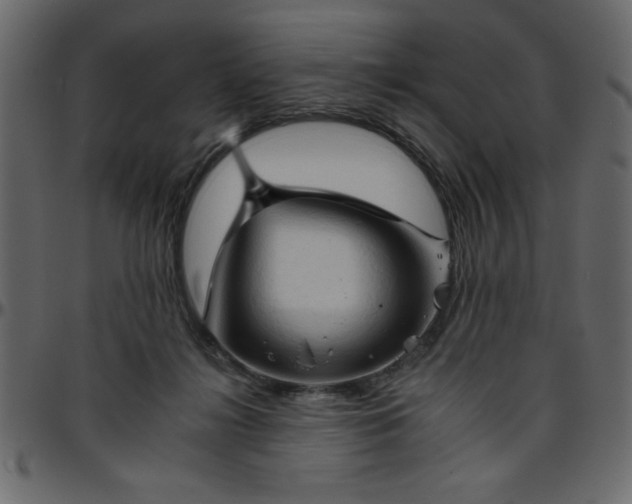 X0000095670268200801221210