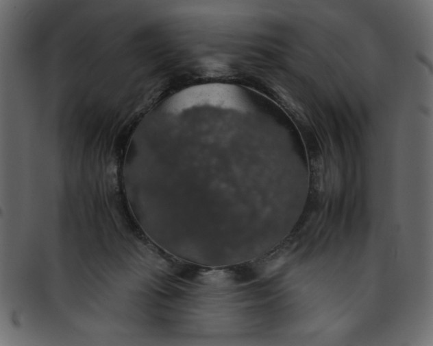 X0000095670269200801221210