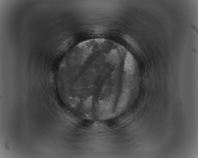 X0000095670270200801221210