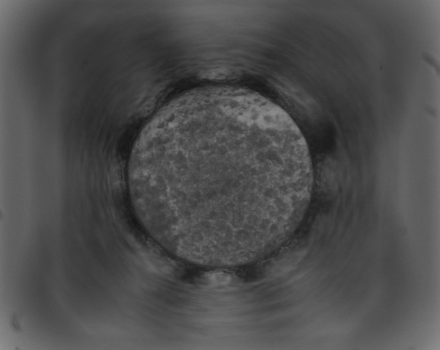 X0000095670272200801221210