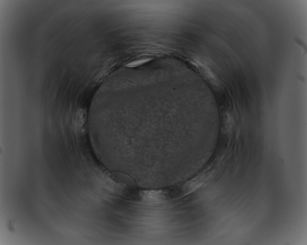 X0000095670273200801221210